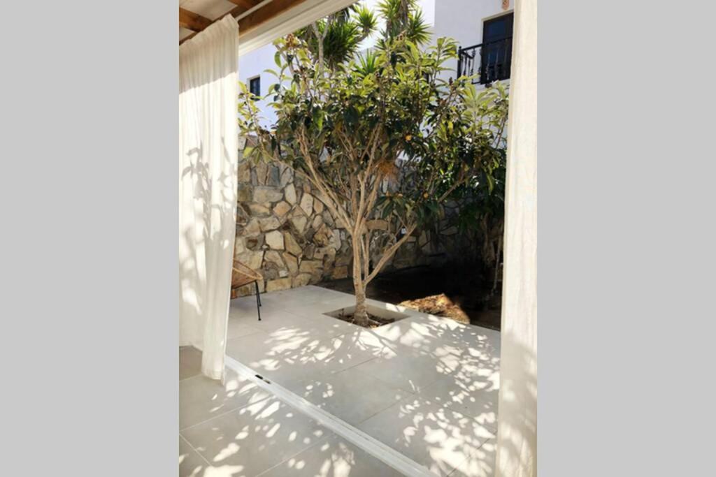 Apartament Casita Blanca Cerca De Timanfaya Tinguaton Zewnętrze zdjęcie