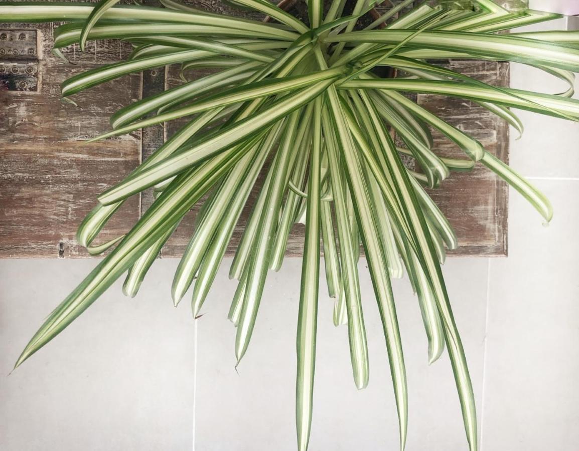 Apartament Casita Blanca Cerca De Timanfaya Tinguaton Zewnętrze zdjęcie